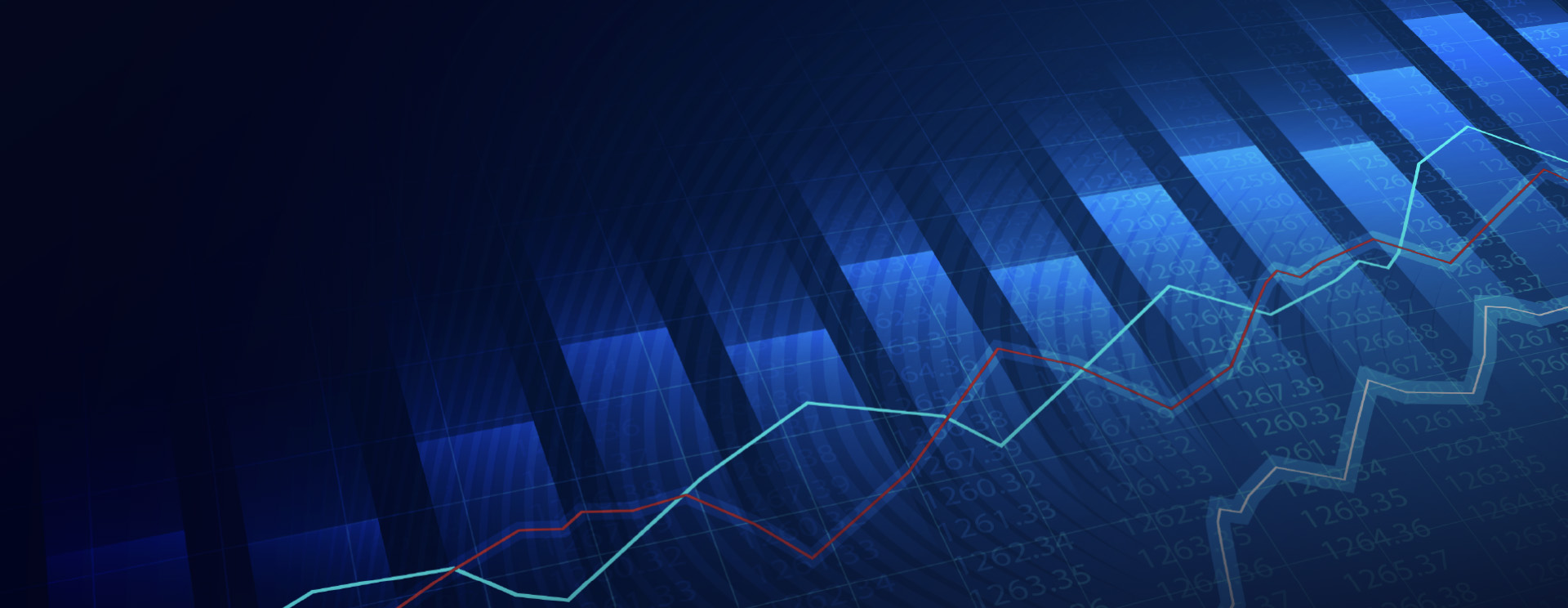 Yatırım ve Fonlama Detay